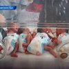 Афганка за раз родила шестерых малышей