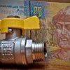 Экс-глава "Нафтогаза": Сократить потребление российского газа реальнее, чем добиться скидки