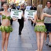 Среди вегетарианцев появилось секс-меньшинство