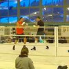 Виталий и Владимир Кличко проводят совместные тренировки