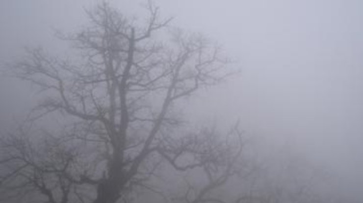 В Китае из-за тумана задерживают авиарейсы