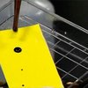 Американские ученые разработали водоотталкивающее покрытие