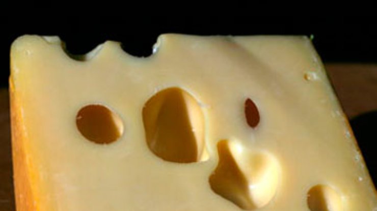 Сыр способствует укреплению иммунитета
