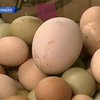 Колумбийская курица снесла яйцо весом в четверть килограмма