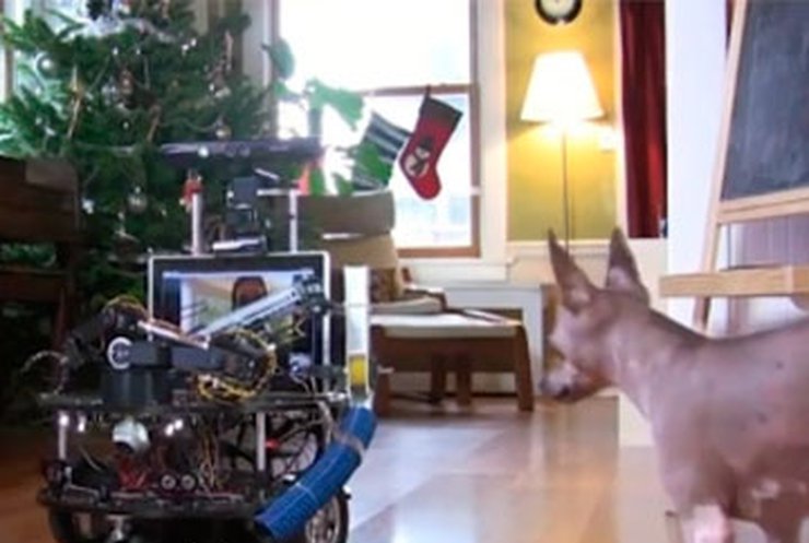 Сотрудник Microsoft построил робота для игры с собакой