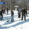 Жители Черновцов сами взялись за расчистку города