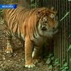 В Мексике открыли зоопарк для конфискованных животных