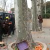 Испанские фермеры закидали помидорами здание Еврокомиссии в Мадриде