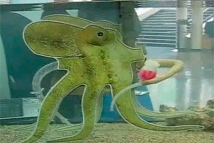 В Италии ученые создали робота-осьминога, спасающего людей на глубине