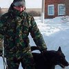 Пес помог казахстанской милиции найти "куриного" вора