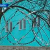 В партии Тимошенко возмущены, что за канадскими врачами в Украине следили