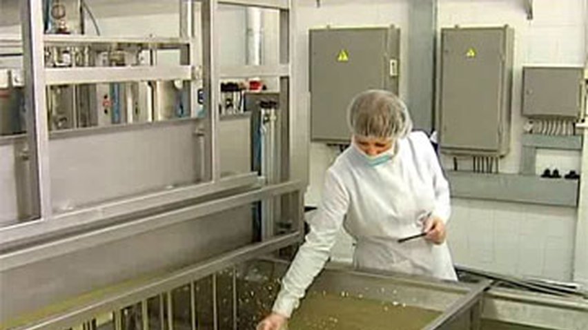 Росспотребнадзор проверит украинских производителей сыра