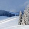 В "Буковеле" во время катания на лыжах умер россиянин