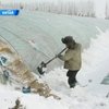 Северо-запад Китая накрыли мощные снегопады