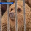 На Закарпатье закрыли закрыли зоопарк