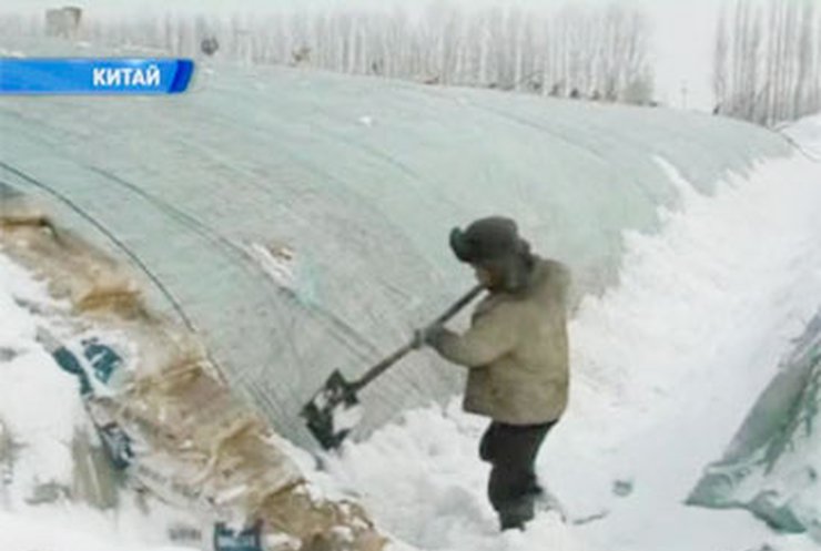 Северо-запад Китая накрыли мощные снегопады