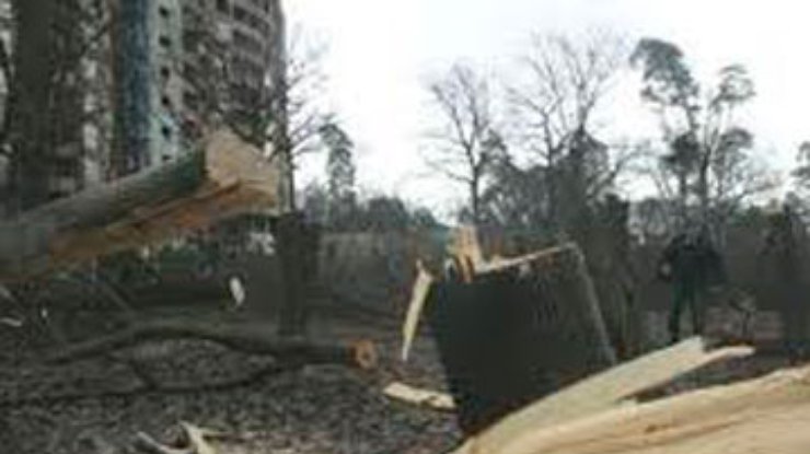 В киевском сквере частная фирма вырубила 84 дерева: Возбуждено дело
