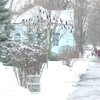 Главу сельсовета в Харьковской области задержали за крупную взятку