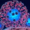 Объяснен механизм действия интерферона на ВИЧ