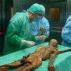 Итальянские ученые исследуют останки древнего человека