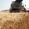 Украинцы не согласны с введением рынка земли в кратчайшие сроки