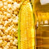 Беларусь отменила ультиматум Украине о поставках с/х продукции