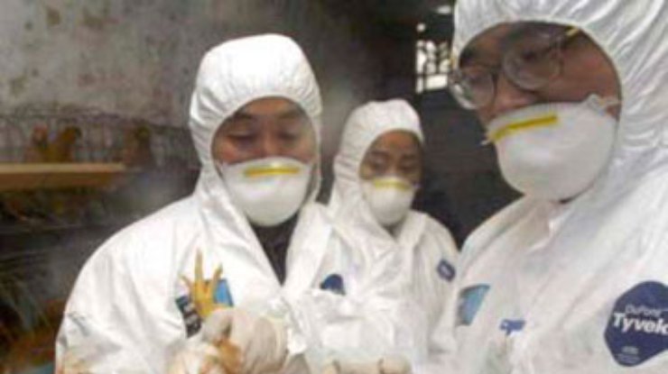 СМИ: В Южной Корее зафиксирован первый случай птичьего гриппа