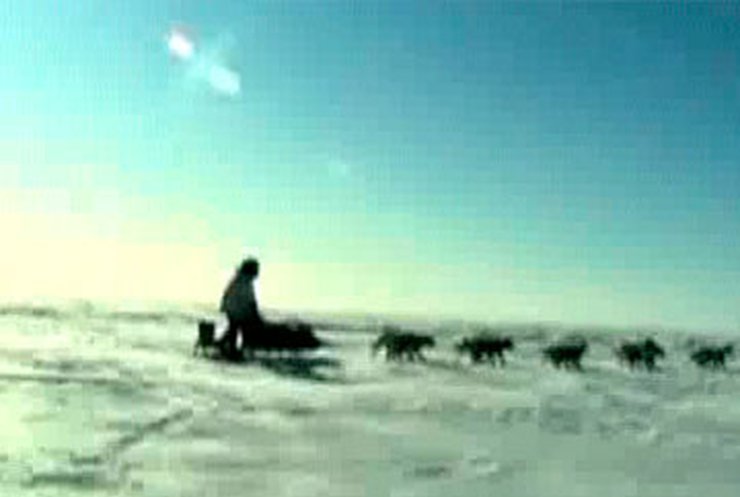На Аляске проходит масштабная гонка на собачьих упряжках