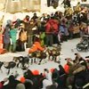 На Аляске завершился марафон на собачьих упряжках