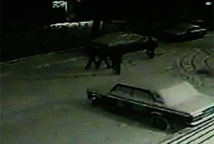 В Севастополе с помощью камеры наблюдения задержали грабителей