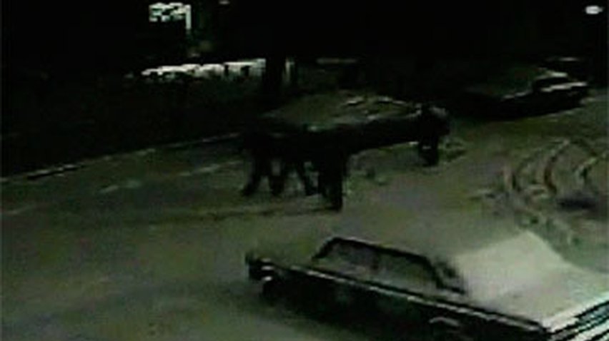 В Севастополе с помощью камеры наблюдения задержали грабителей