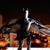 Полиция Бразилии наняла Бэтмена для отпугивания наркоторговцев