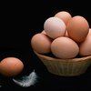 Ученые создадут специальные куриные яйца для аллергиков