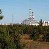 Депутаты хотят превратить Чернобыльскую зону во всеукраинскую здравницу
