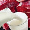 Россия проверит молочные и мясные предприятия Украины