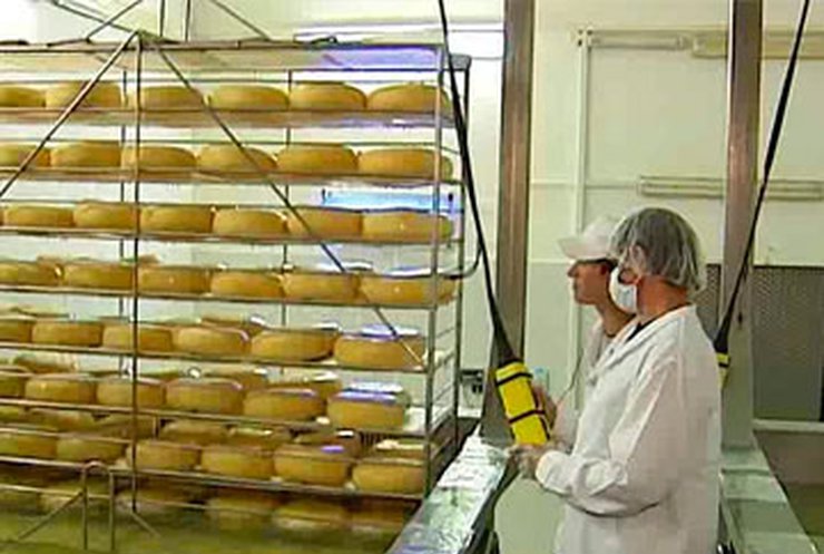 Российские специалисты не приедут инспектировать сыроваренные заводы