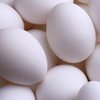 АМКУ заставил производителей яиц снизить их стоимость