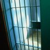 Изнасилование в Умани: Милиция арестовала мажора
