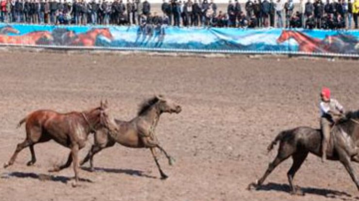 В Бишкеке скакун, потерявший всадника, финишировал одним из первых