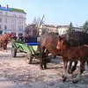 В Ивано-Франковске устроили экстрим-ралли на улицах города
