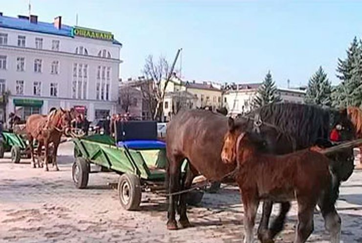 В Ивано-Франковске устроили экстрим-ралли на улицах города