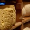 В США возрождаются фермы по производству домашнего сыра