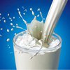 Эксперт: Закупки Аграрным фондом молока не стабилизируют цены