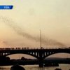 Американский город Остин может превратится в столицу летучих мышей