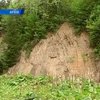 В Черновицкой области незаконно рубили лес