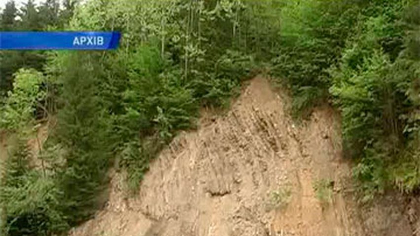 В Черновицкой области незаконно рубили лес