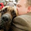 В России может появиться партия собаководов