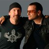 Музыканты из U2 инвестировали средства в облачное хранилище Dropbox