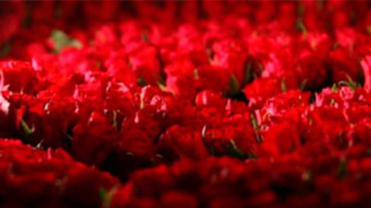 В Киеве появится писанка из 7,5 тысяч живых роз