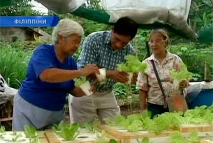 На Филиппинах начали внедрять гидропонику для выращивания овощей